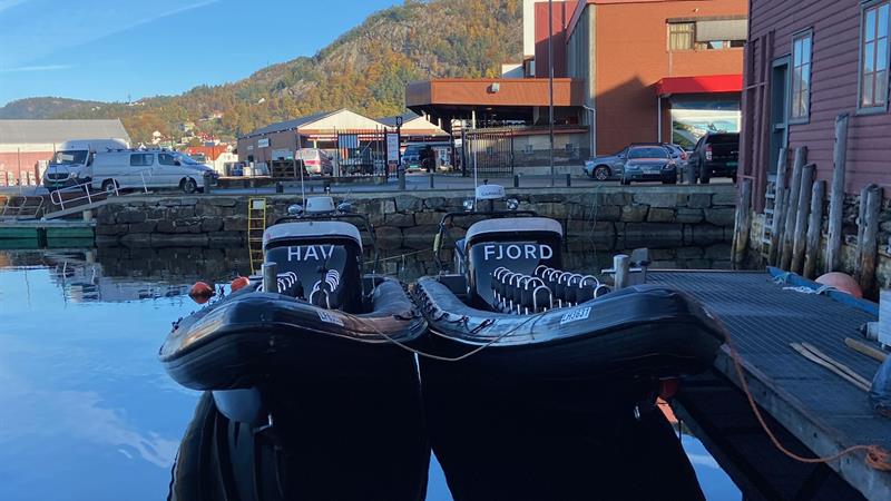 The boats