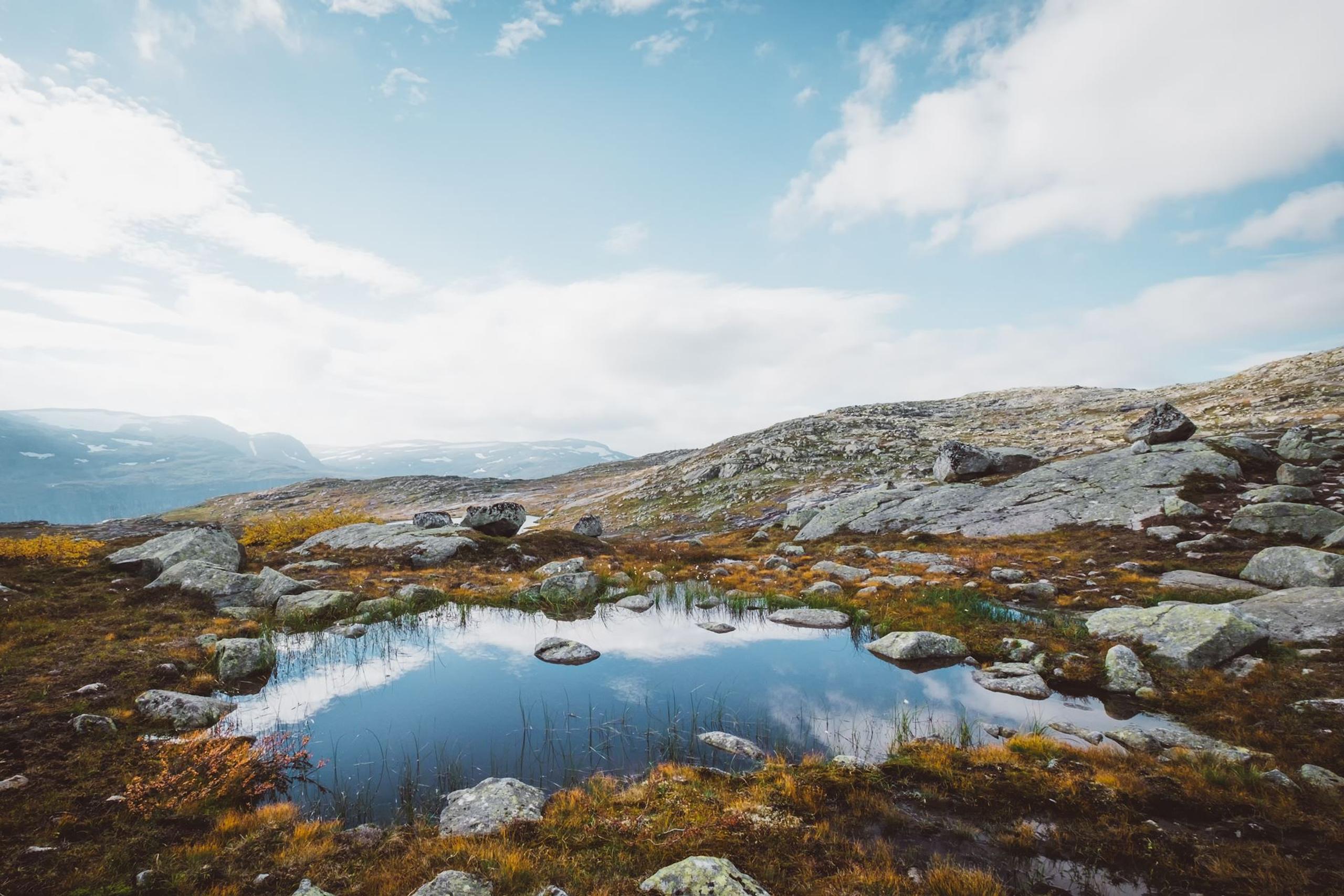 Hiking tour to overview 4 fjords - Outdoor Norway