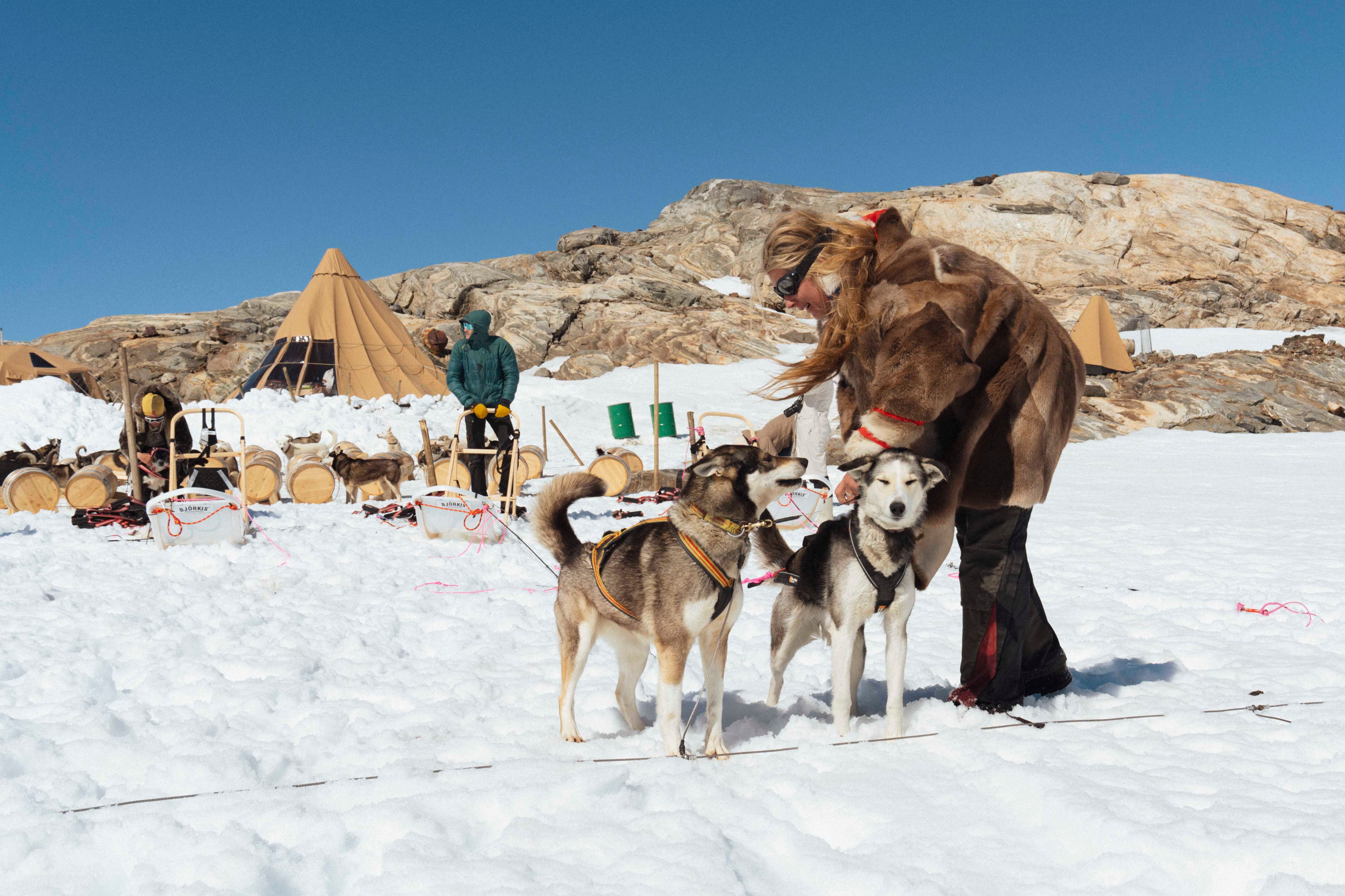 Adventurer Moa hunseid putting harnesses on two huskies in front of folgefonna husky camp in the snow.