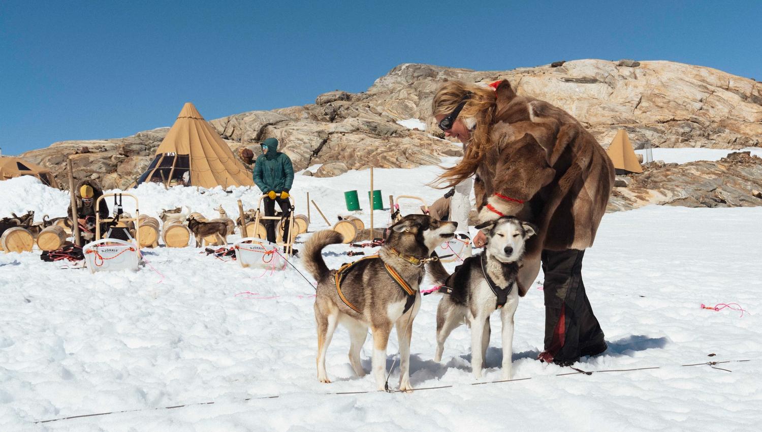 Adventurer Moa hunseid putting harnesses on two huskies in front of folgefonna husky camp in the snow.