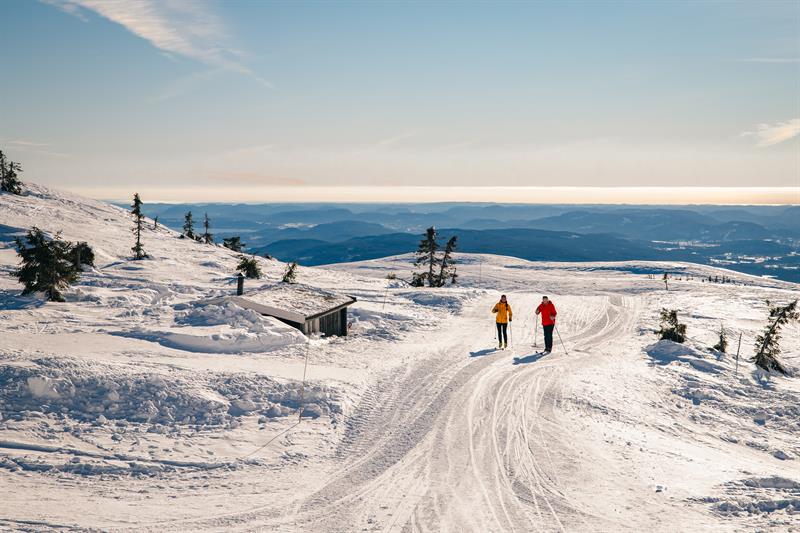 Cross-country skiing at Lifjell