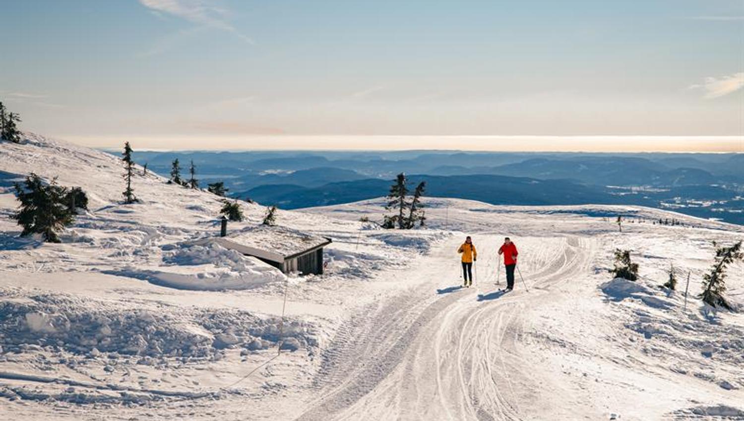 Cross-country skiing at Lifjell