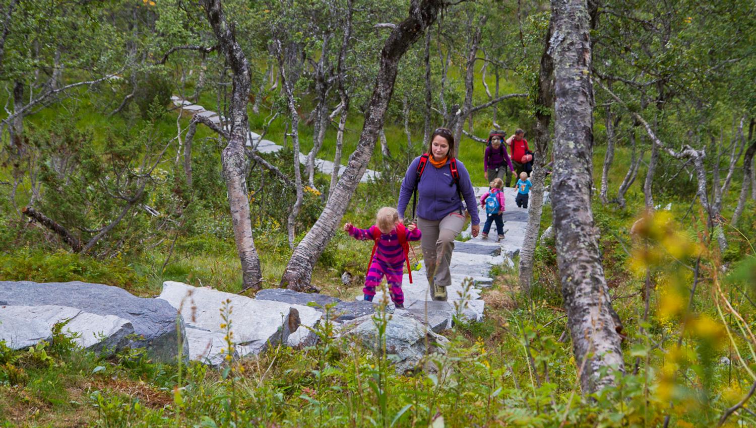 group of adults and children walk on the path to the falconry