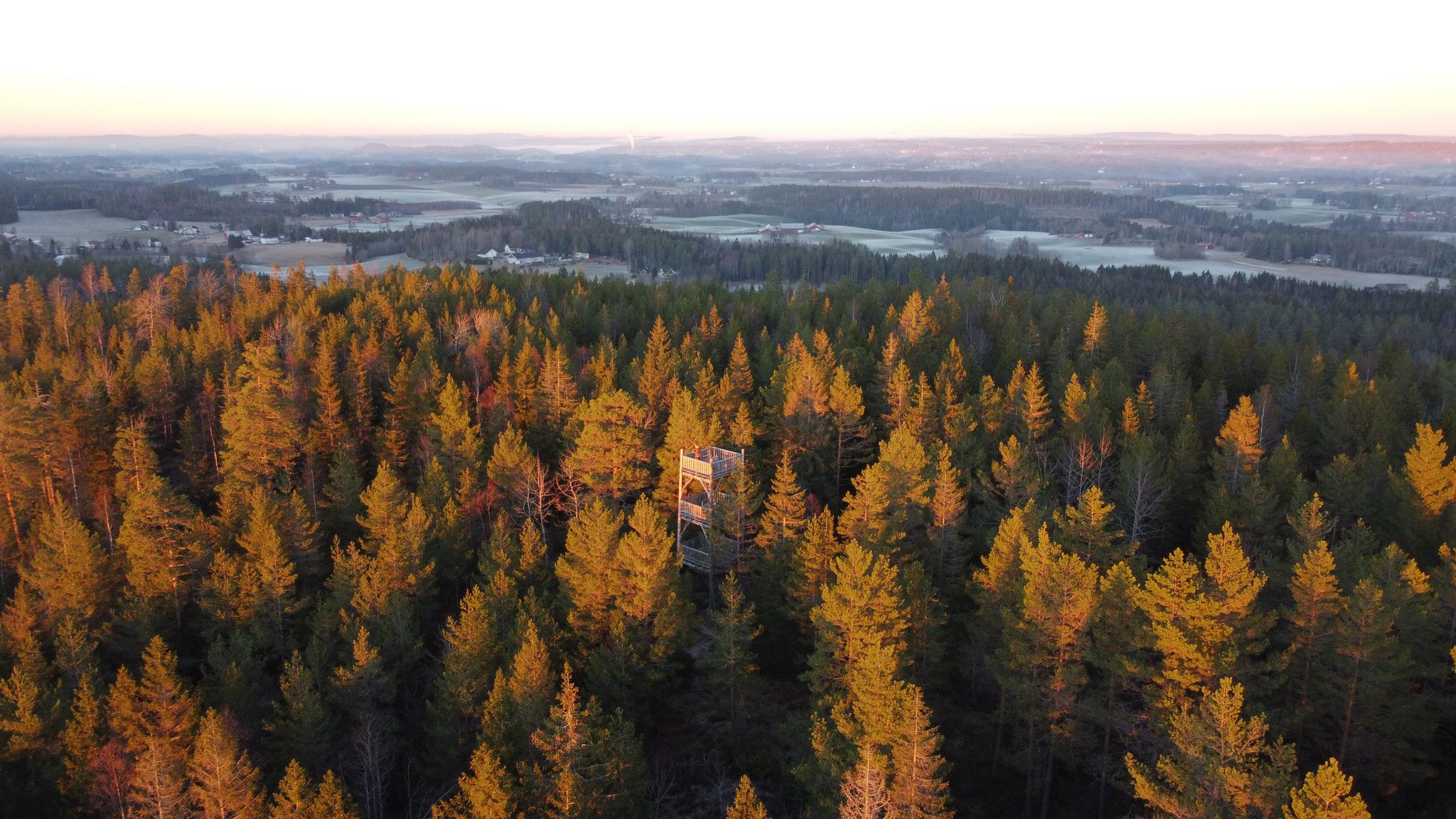 Drone photo of the tower and the area