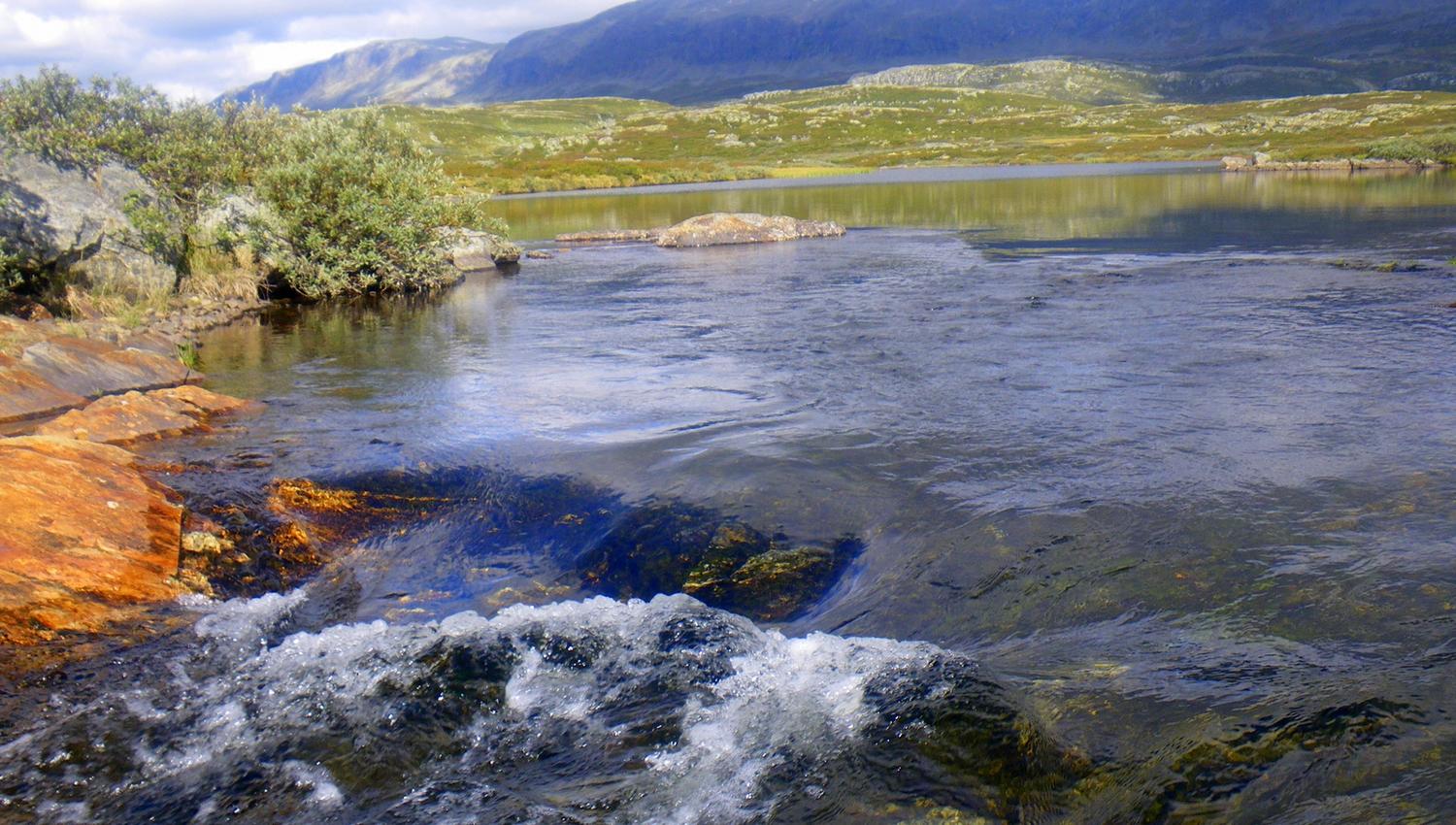 Bergsjø med Reineskarvet