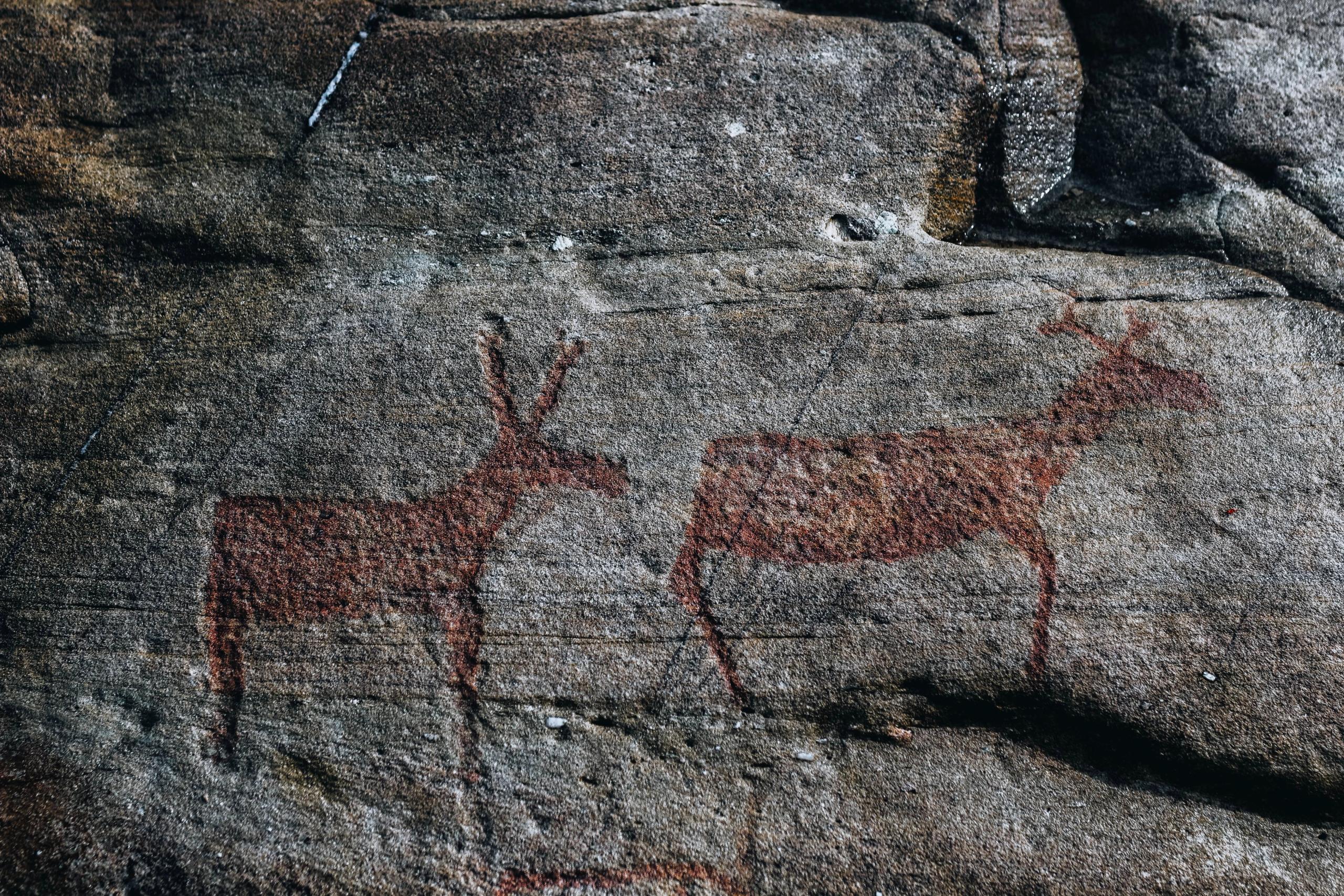 Two reddish animal silhouettes painted on a rough gray rock surface, resembling deer in a weathered stone wall.