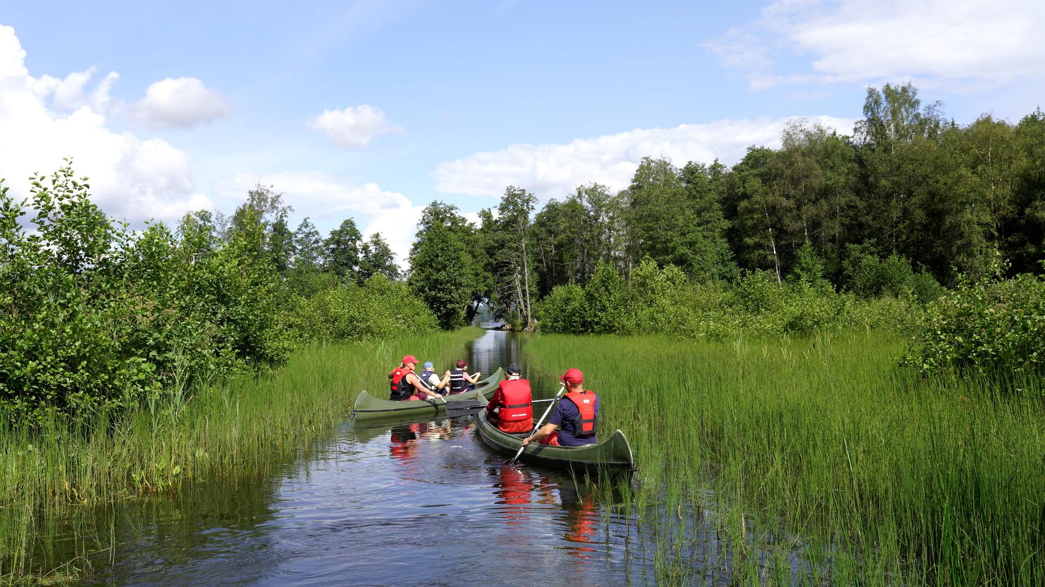 Paddler i vannet