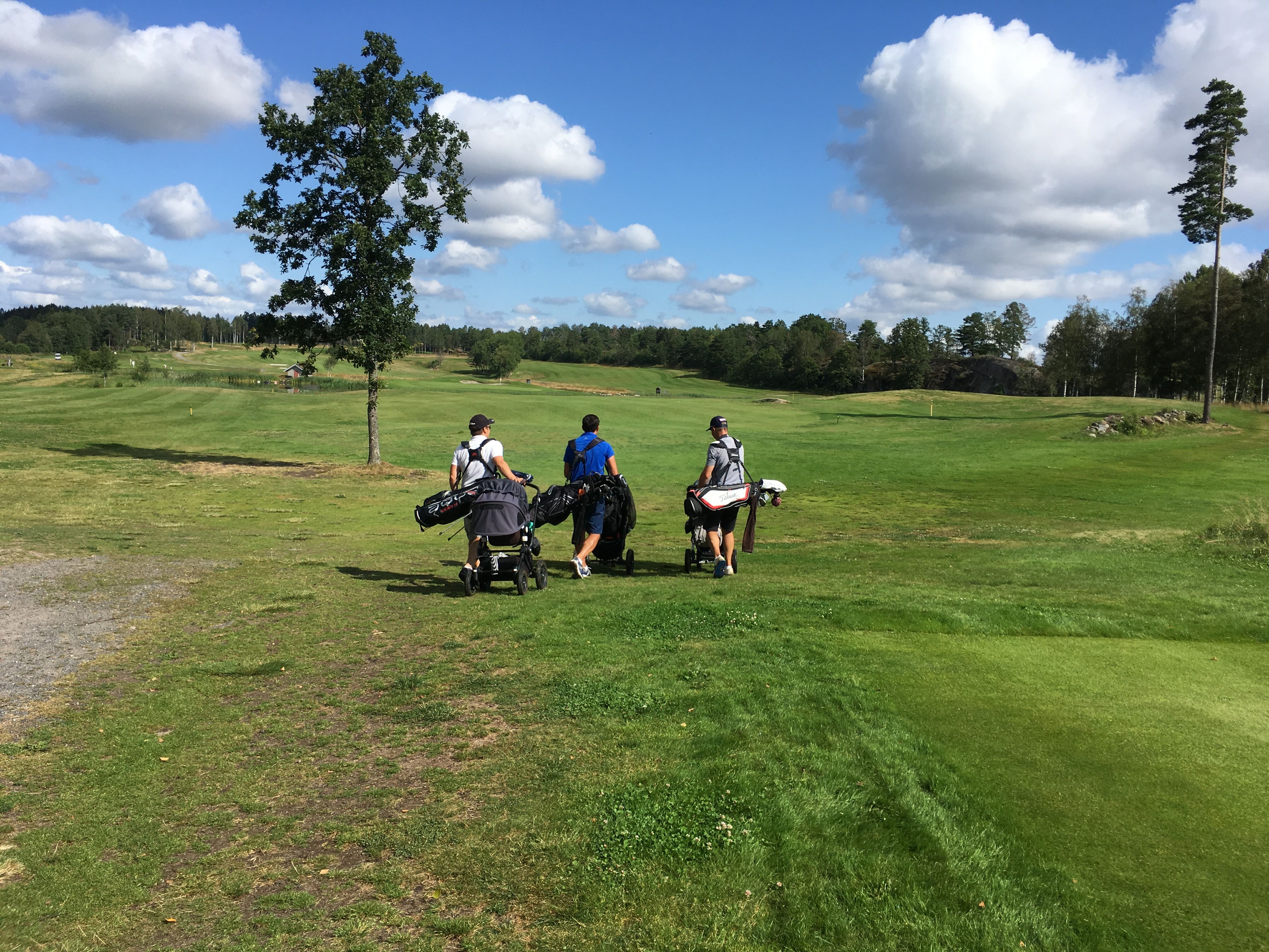 Fathers on golf