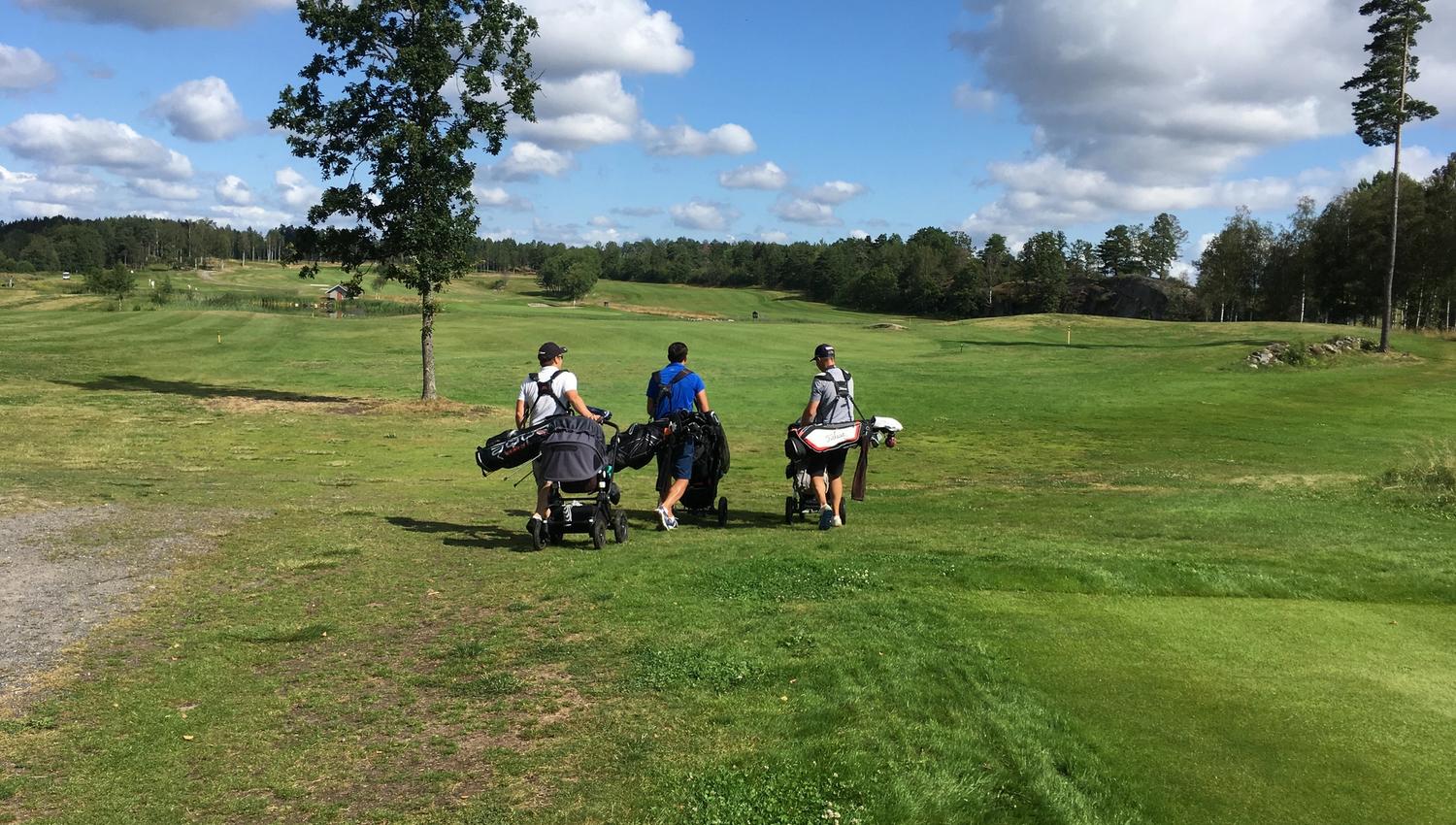 Fathers on golf