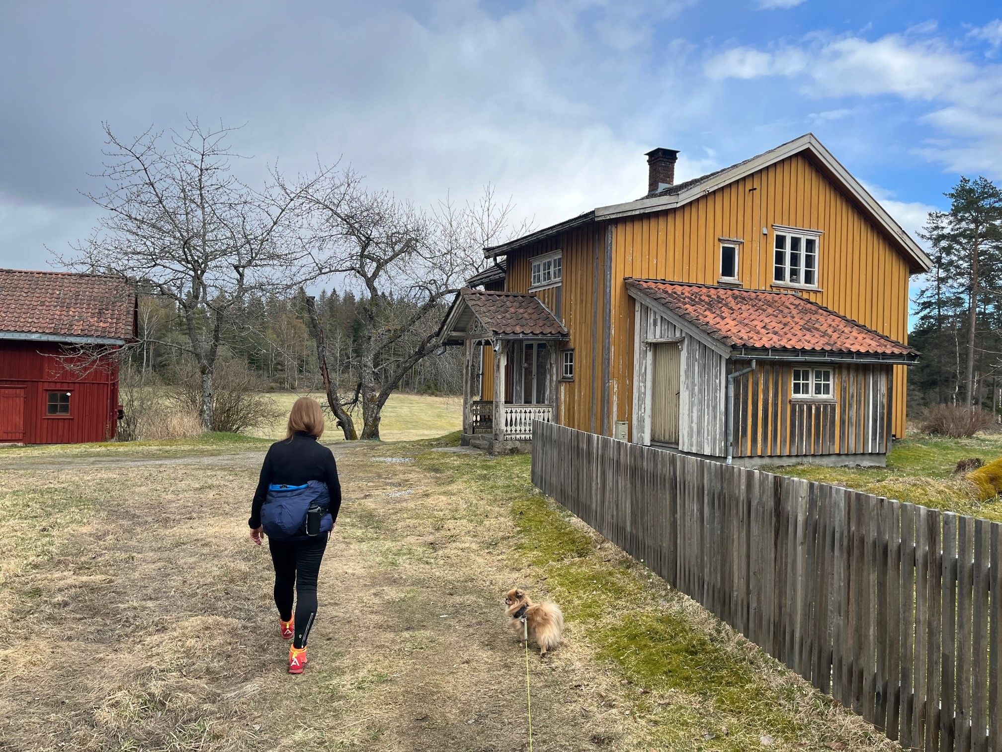 en gul bygning