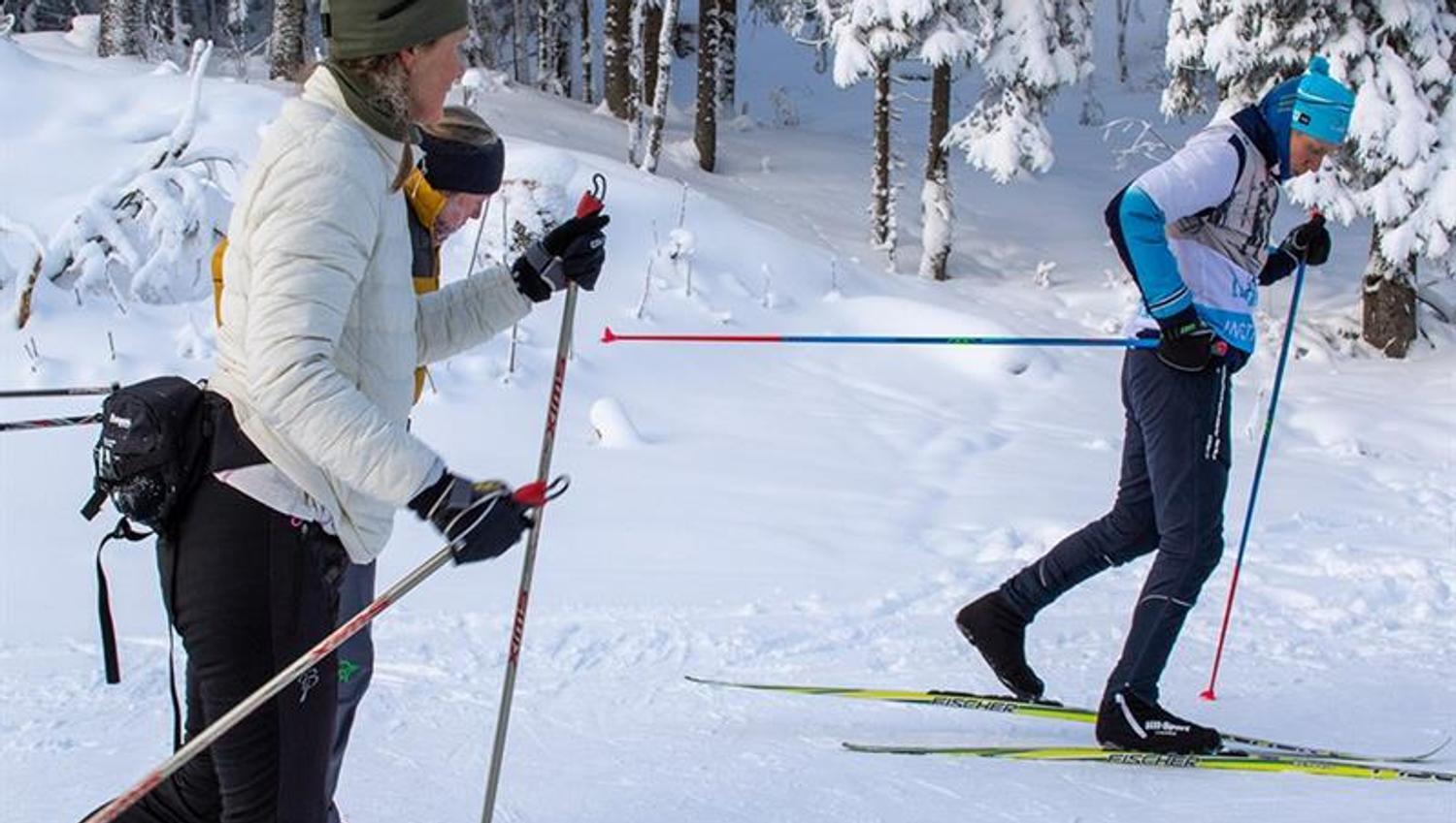 Skiers on the ski trail