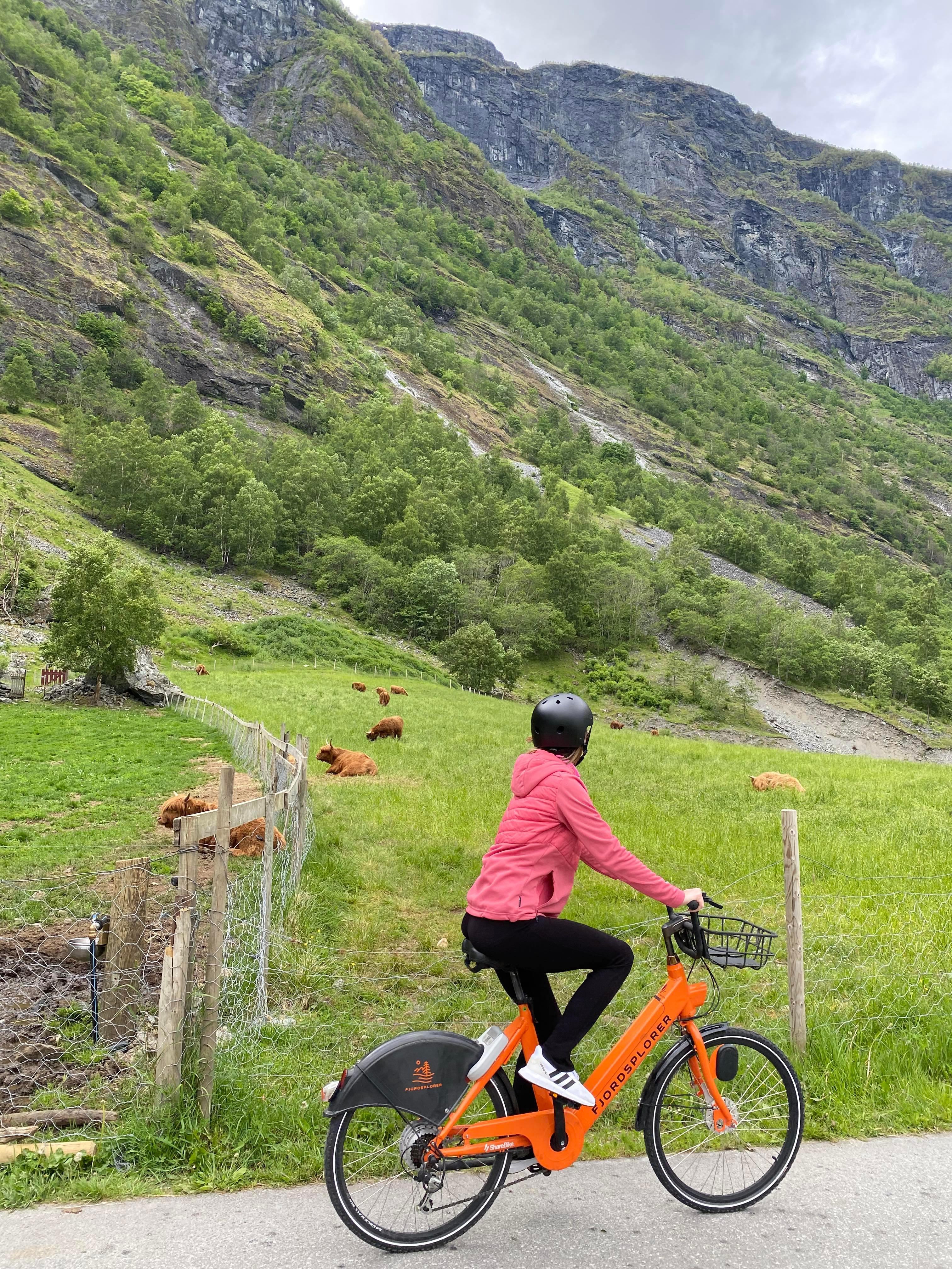 Fjordsplorer Aurland