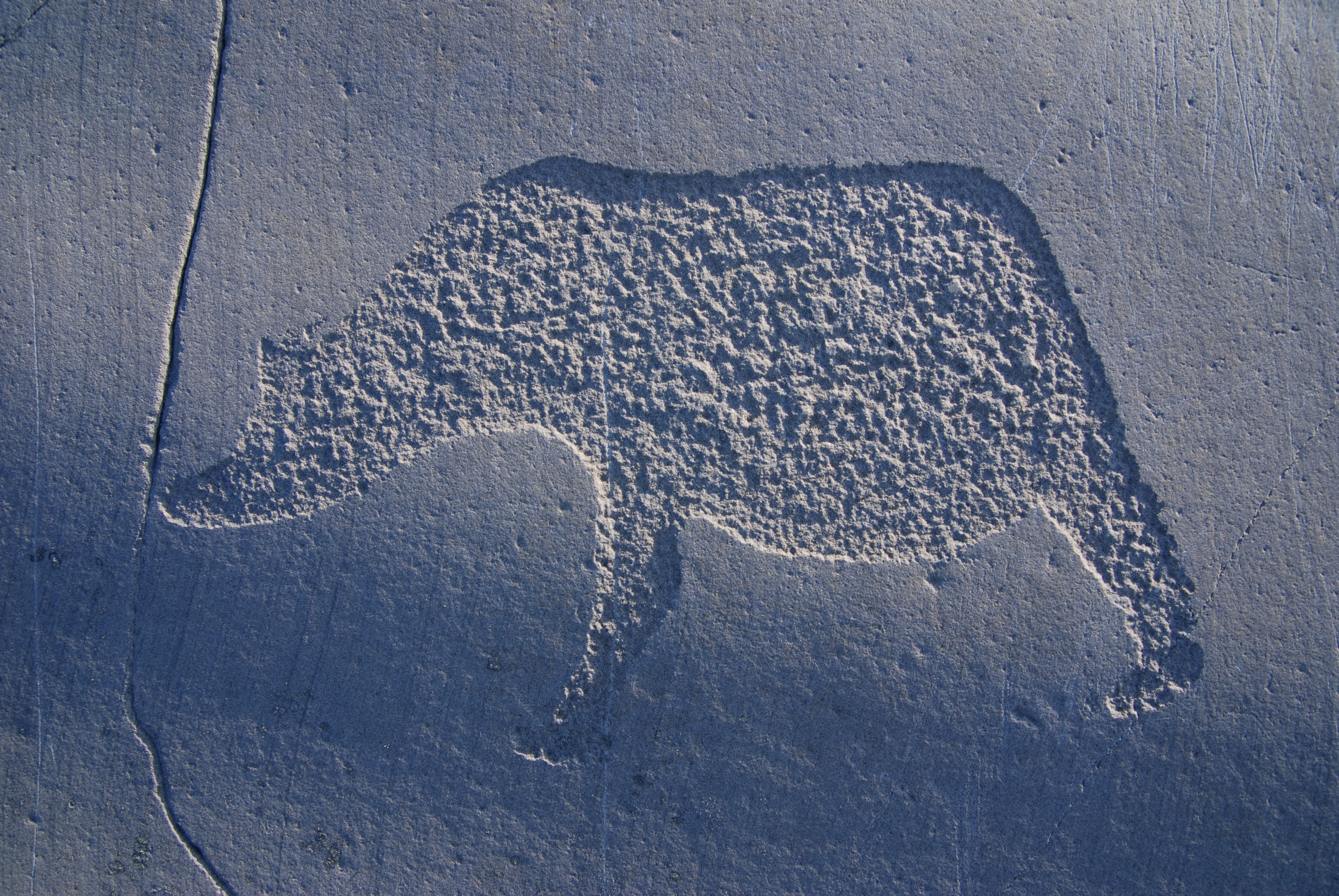 Discover this intriguing petroglyph depicting an animal, carved masterfully into stone. The textured surface invites exploration and reflects ancient artistry, making it a must-see for history enthusiasts and nature lovers alike.