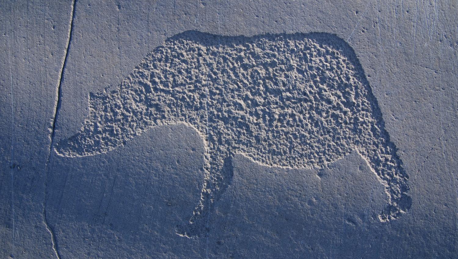 Discover this intriguing petroglyph depicting an animal, carved masterfully into stone. The textured surface invites exploration and reflects ancient artistry, making it a must-see for history enthusiasts and nature lovers alike.