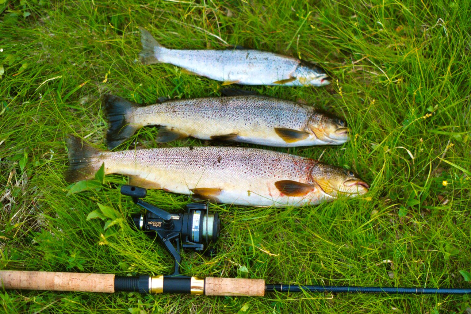 Fishing