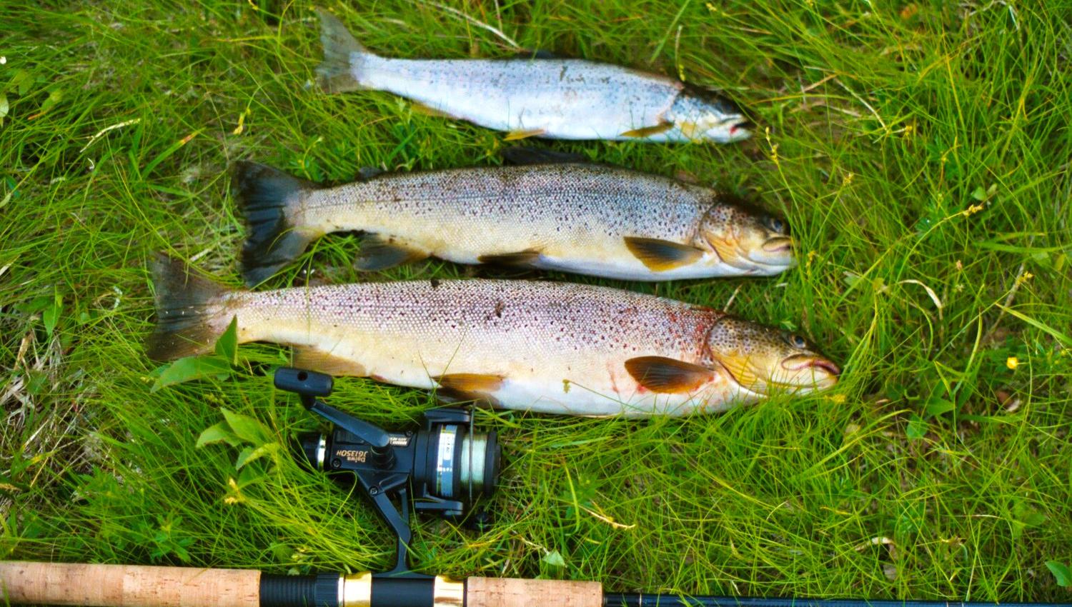 Fishing