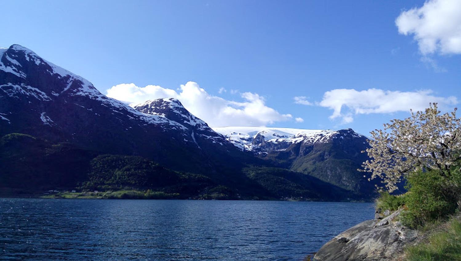 View of the Hardangerfjord and Folgefonna glacier from Stana Farm – nature’s own postcard scene.