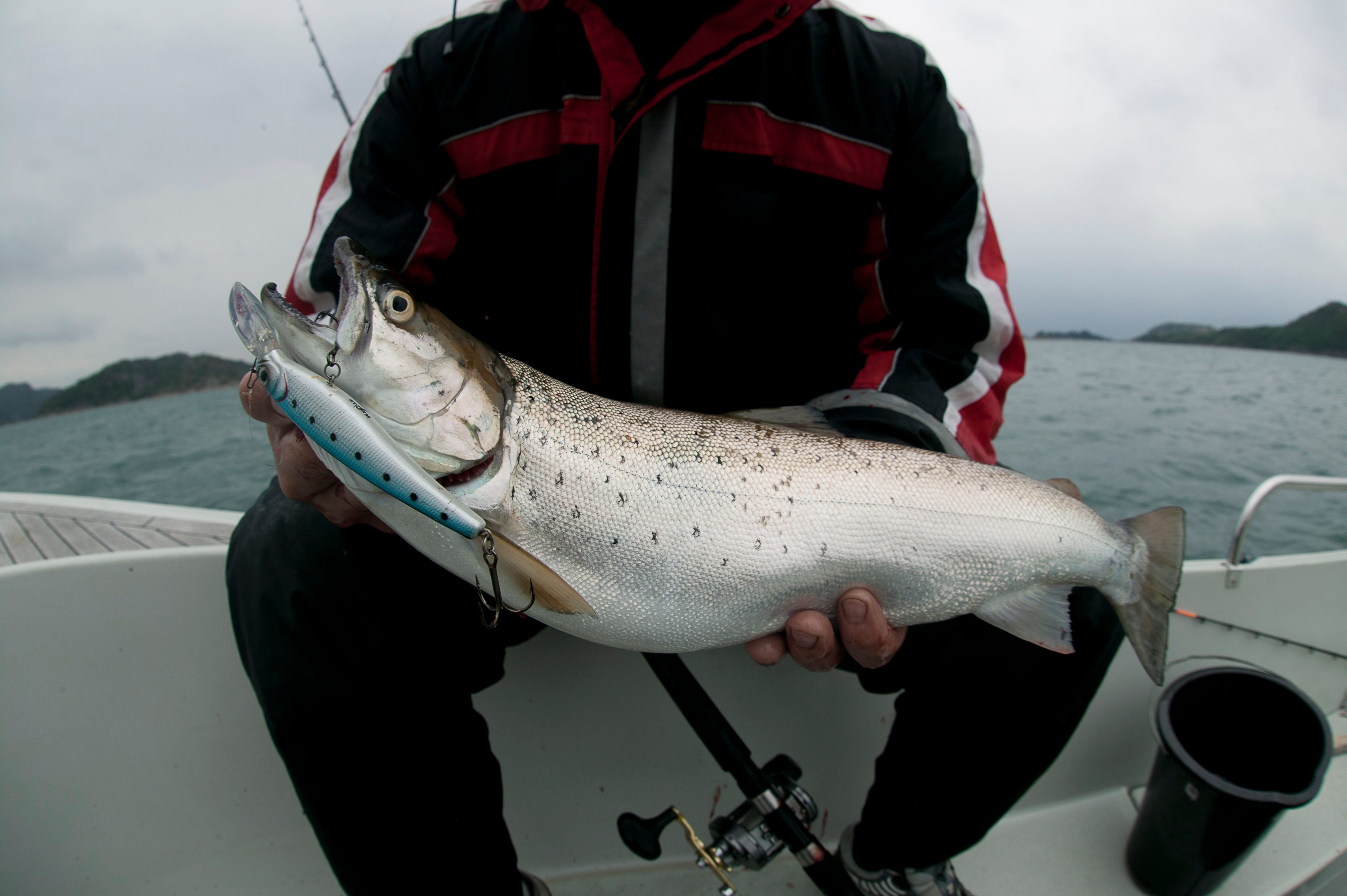 Farsund Resort storfisk