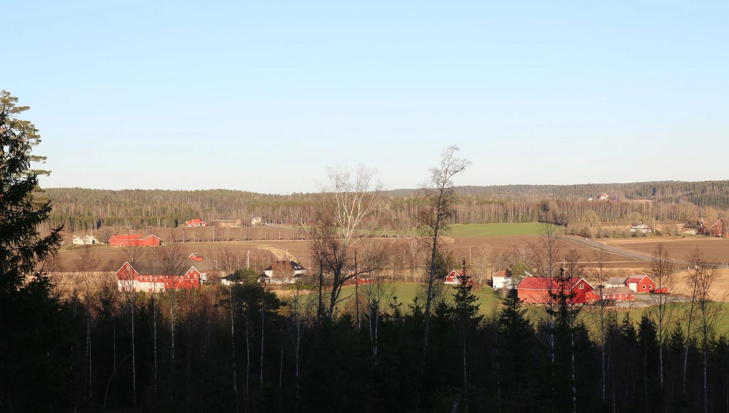 oversiktsbilde gårder og jordbrukslandskap