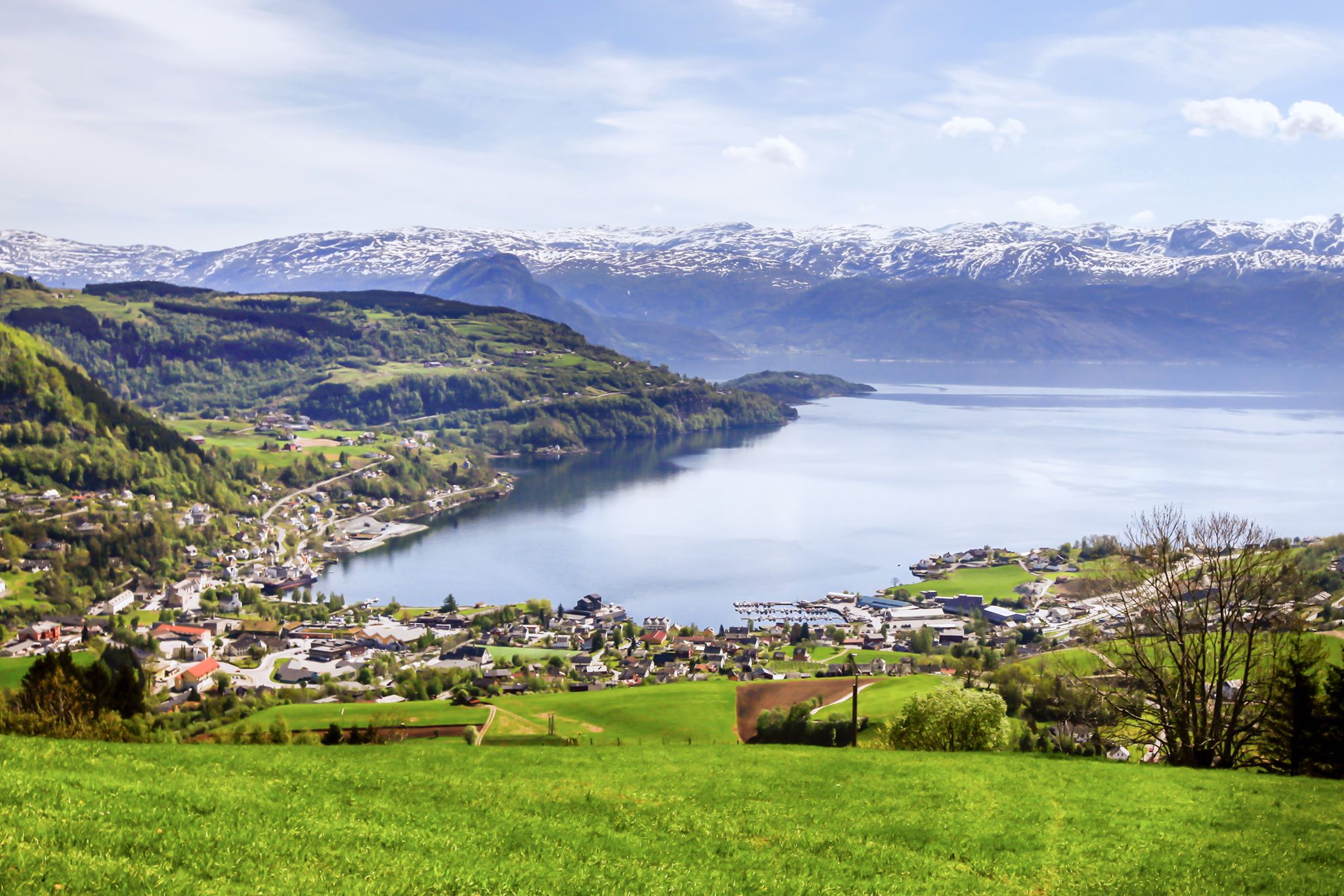 Panoramic view of the Hardangerfjord and the snow-capped mountains surrounding the fjord.