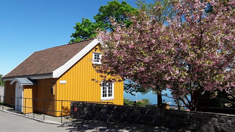 Munch's house by a flowering tree overlooking the water