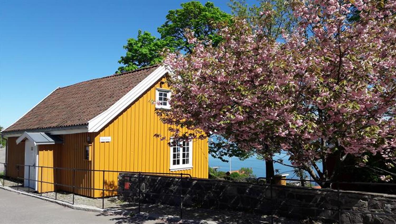 Munch's house by a flowering tree overlooking the water