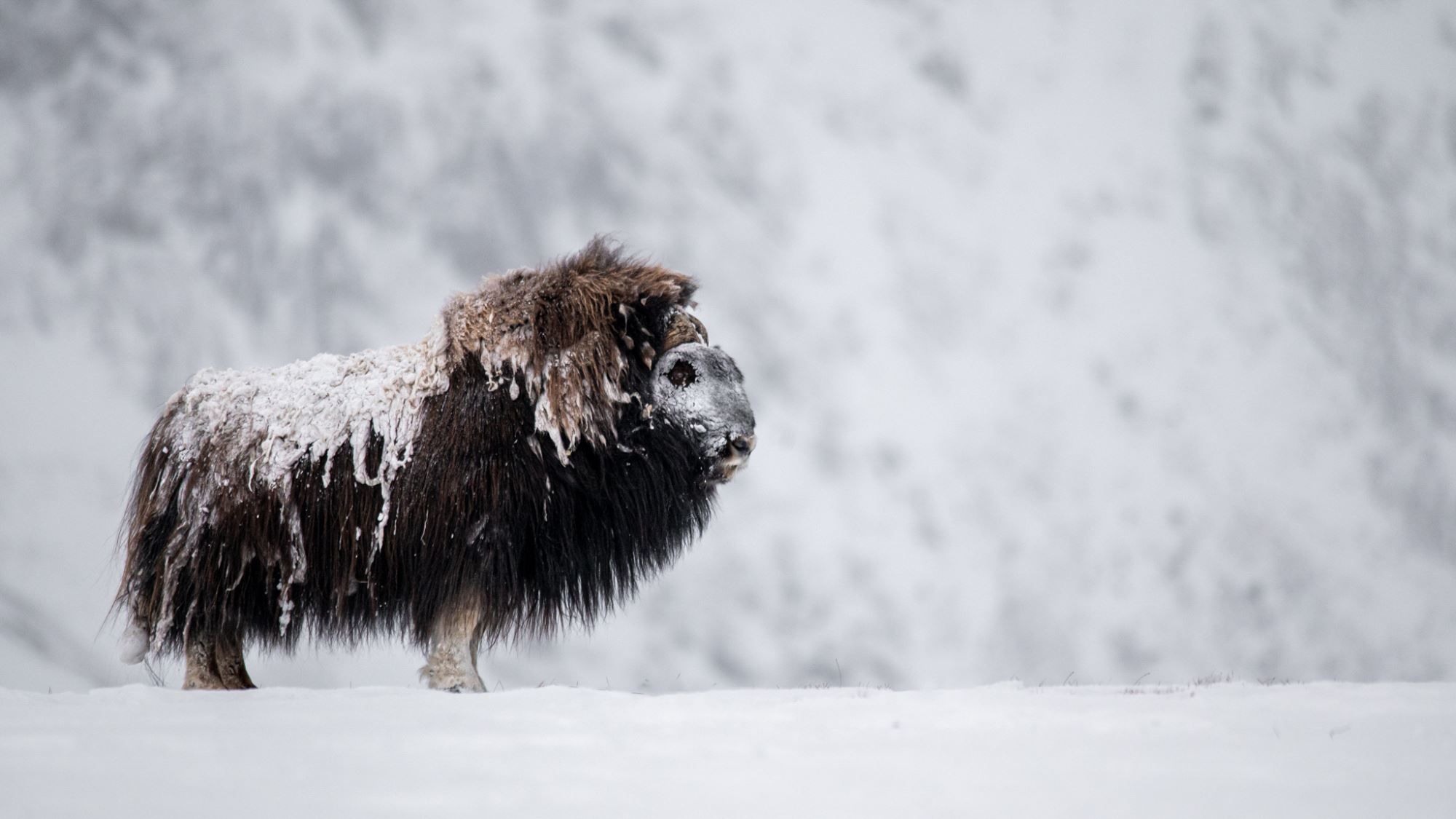 Photo Safari / Personal Tour