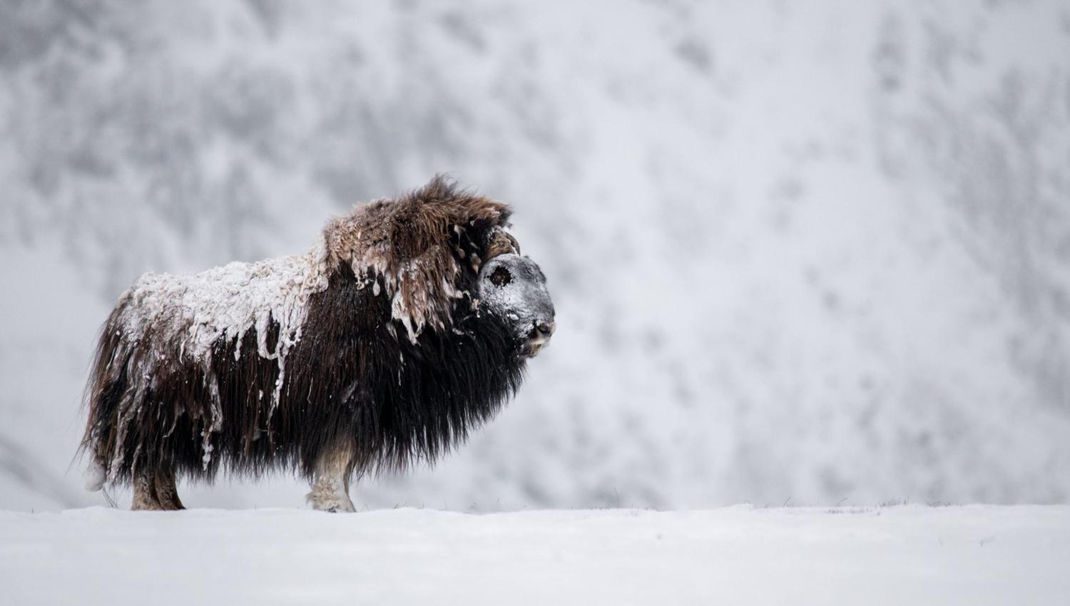 Photo Safari / Personal Tour