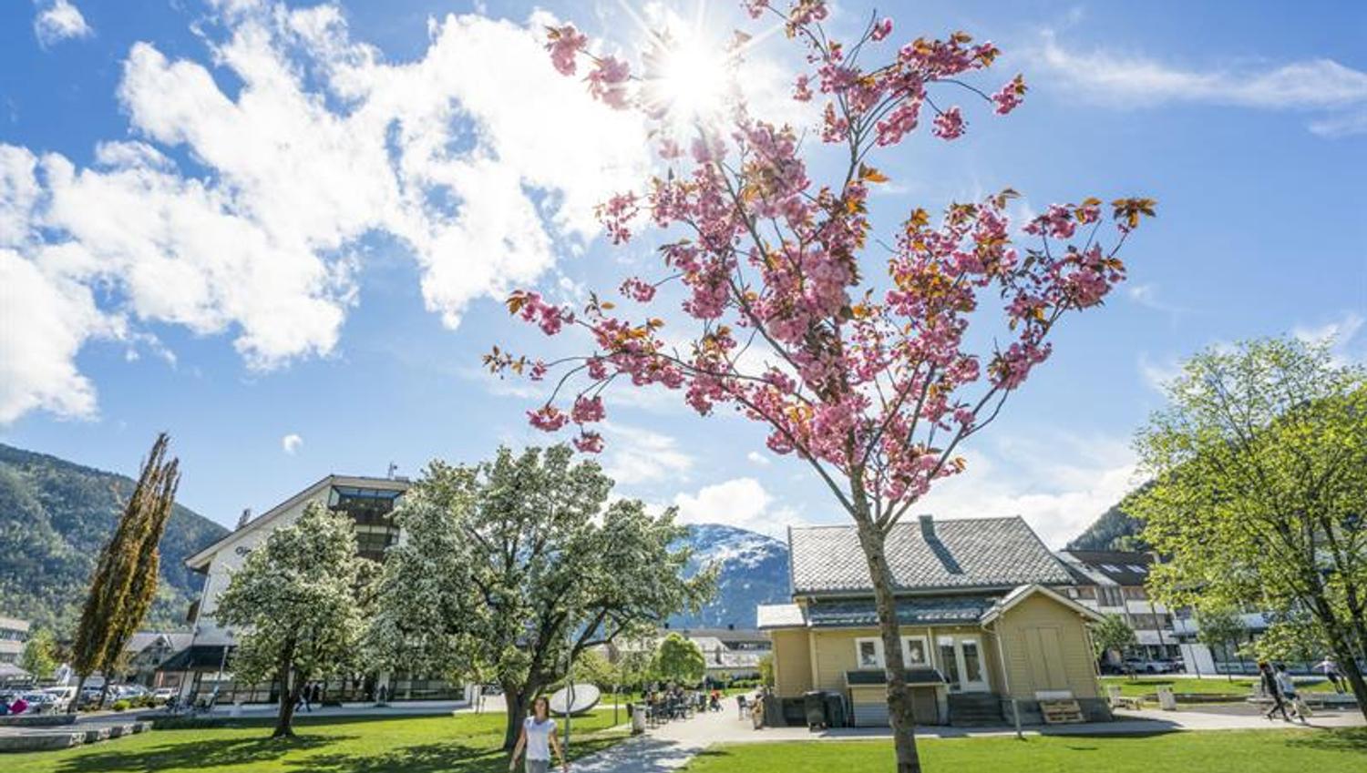 Sogndal Sentrum