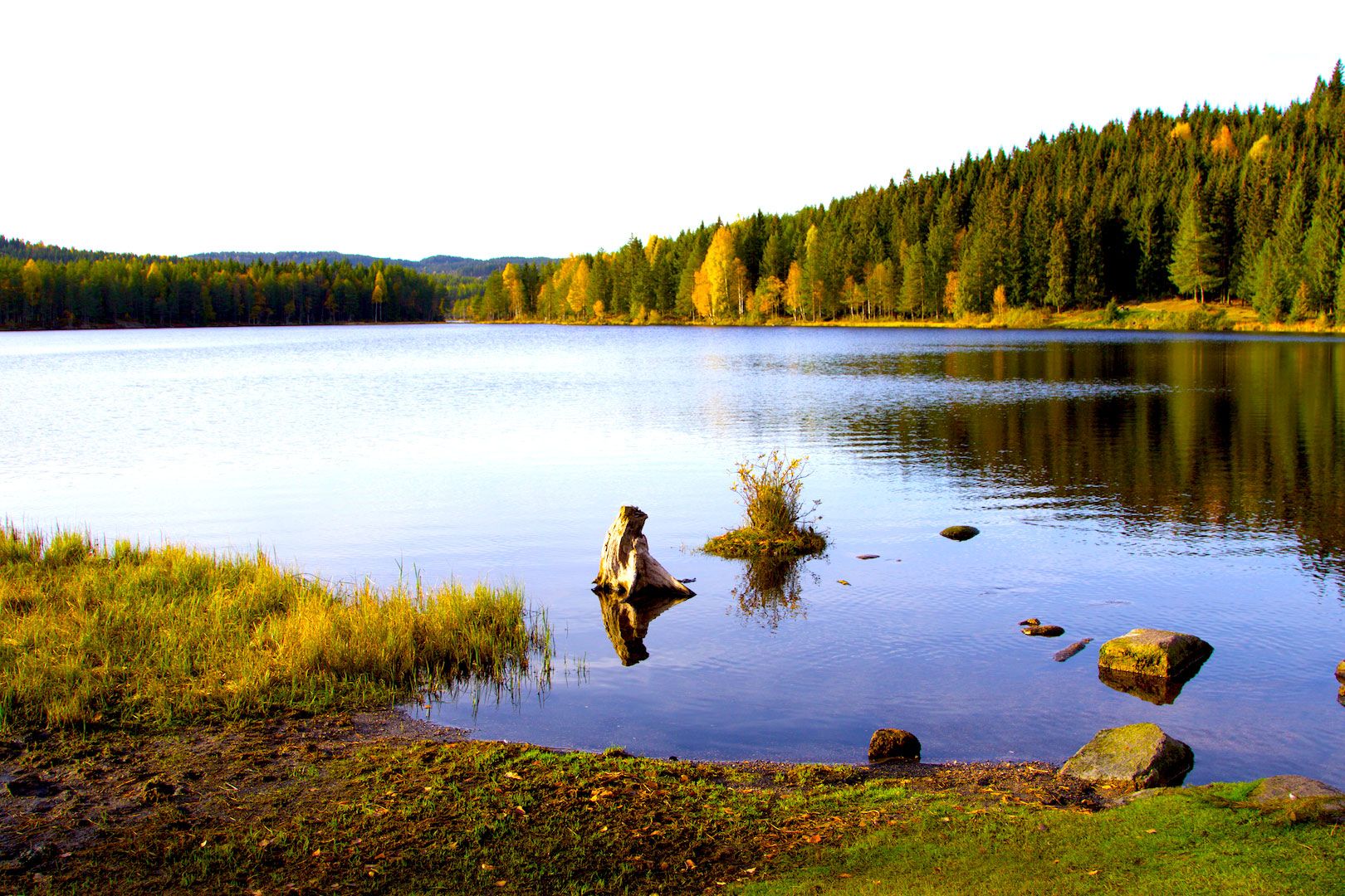 lake with surrounding forest