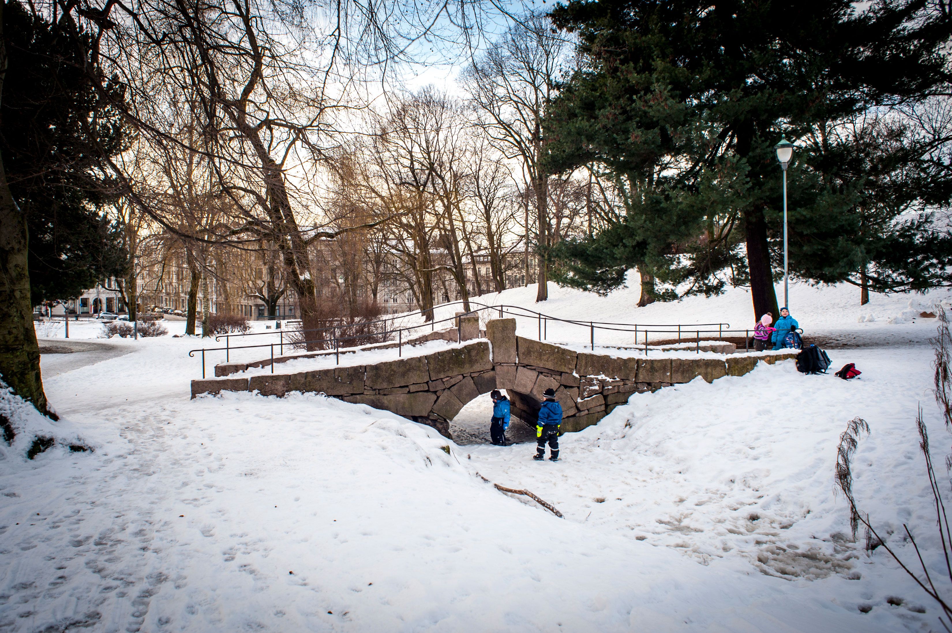 children playing in the park in winter