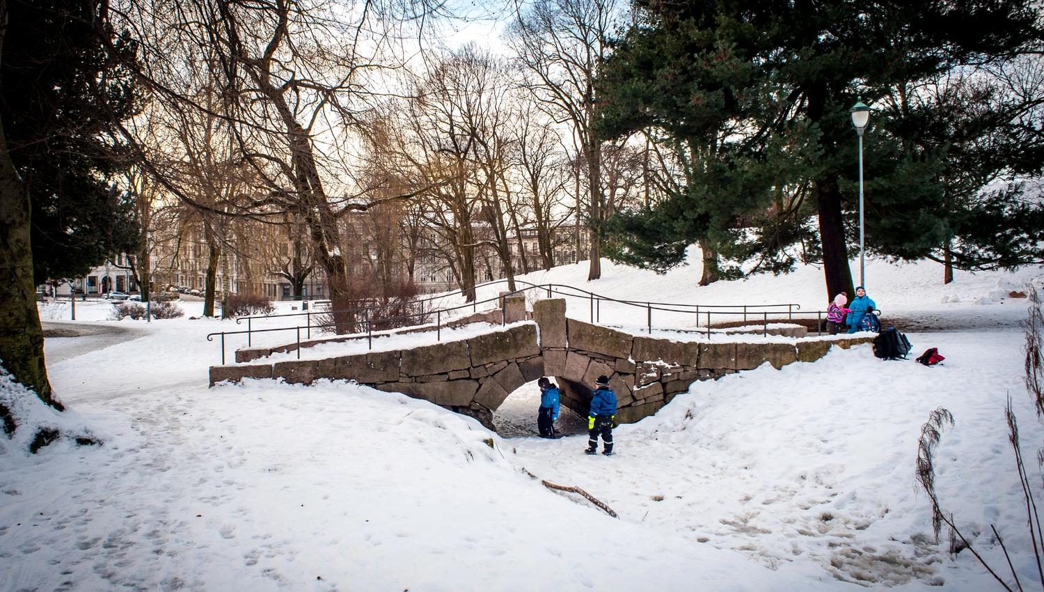 children playing in the park in winter