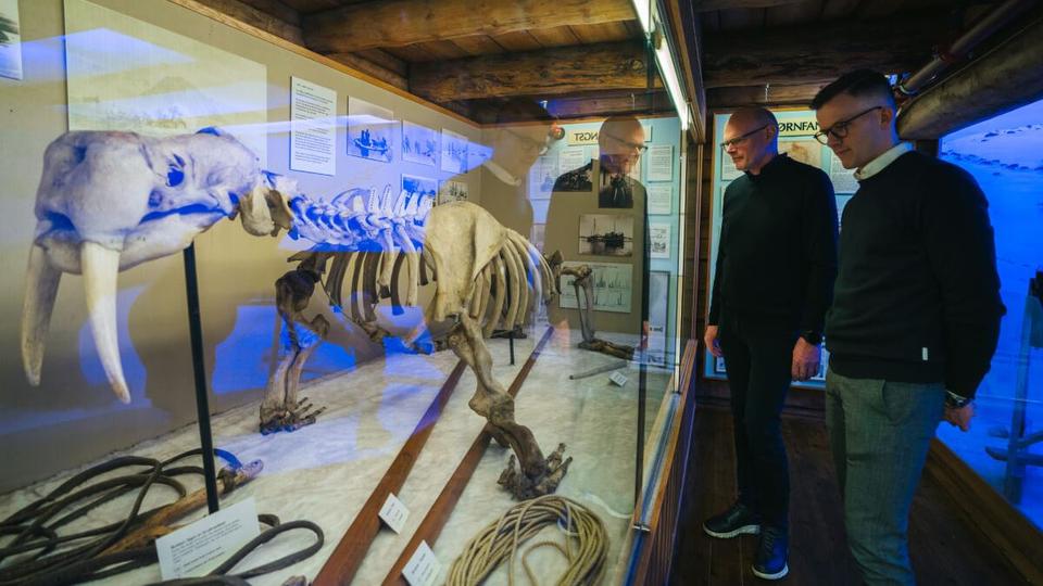 Personer som ser på utstilling av en hvalross