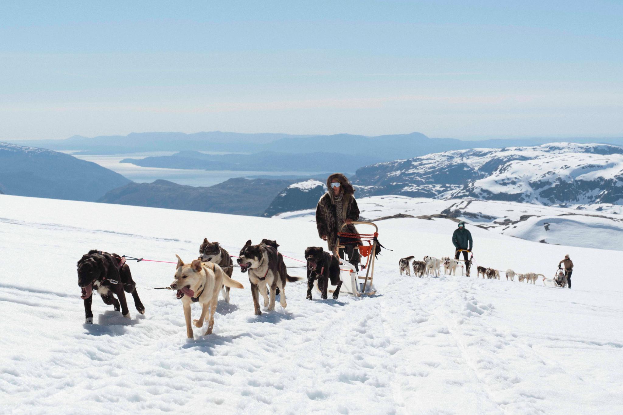 A dog sled team at Folgefonna husky camp driving through snow-covered mountains with a beautiful view of the hardangerfjord and mountains in the backg