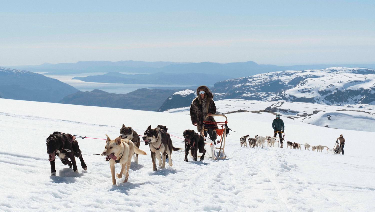A dog sled team at Folgefonna husky camp driving through snow-covered mountains with a beautiful view of the hardangerfjord and mountains in the backg