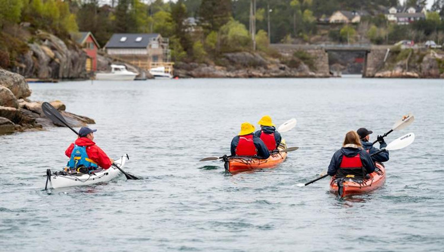 Guided kayak trip