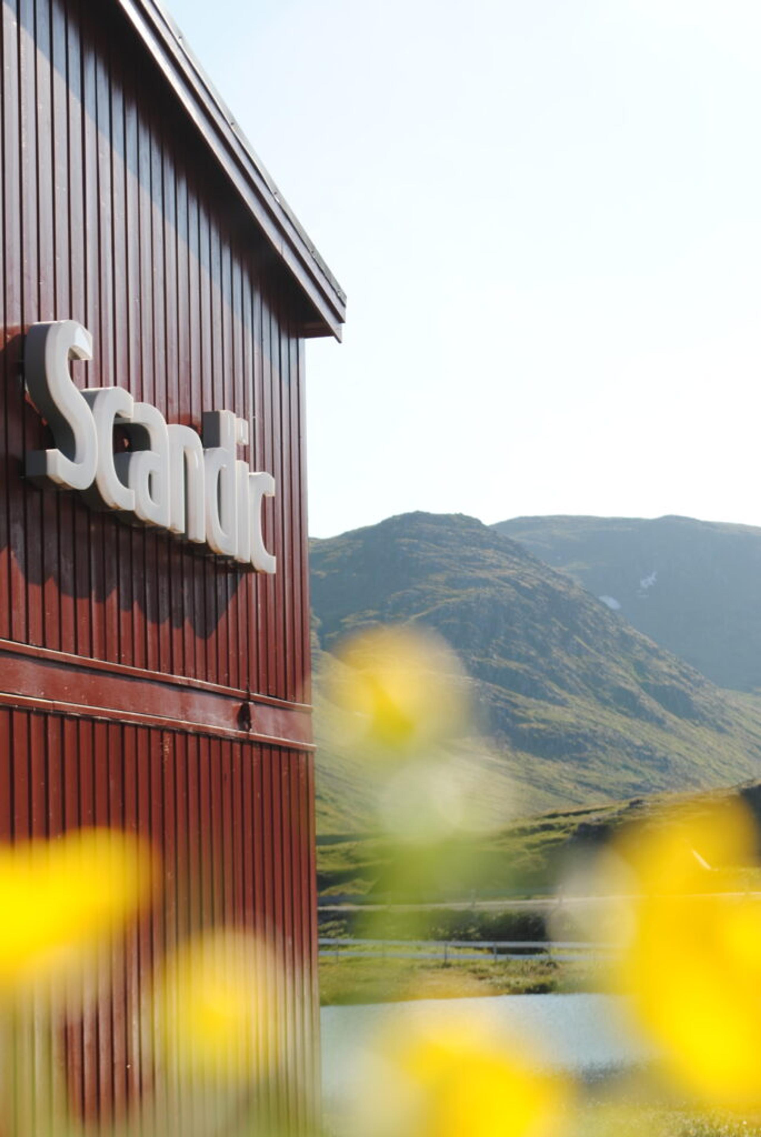 Insegna del Scandic hotel davanti a sfondo montano e fiori gialli.