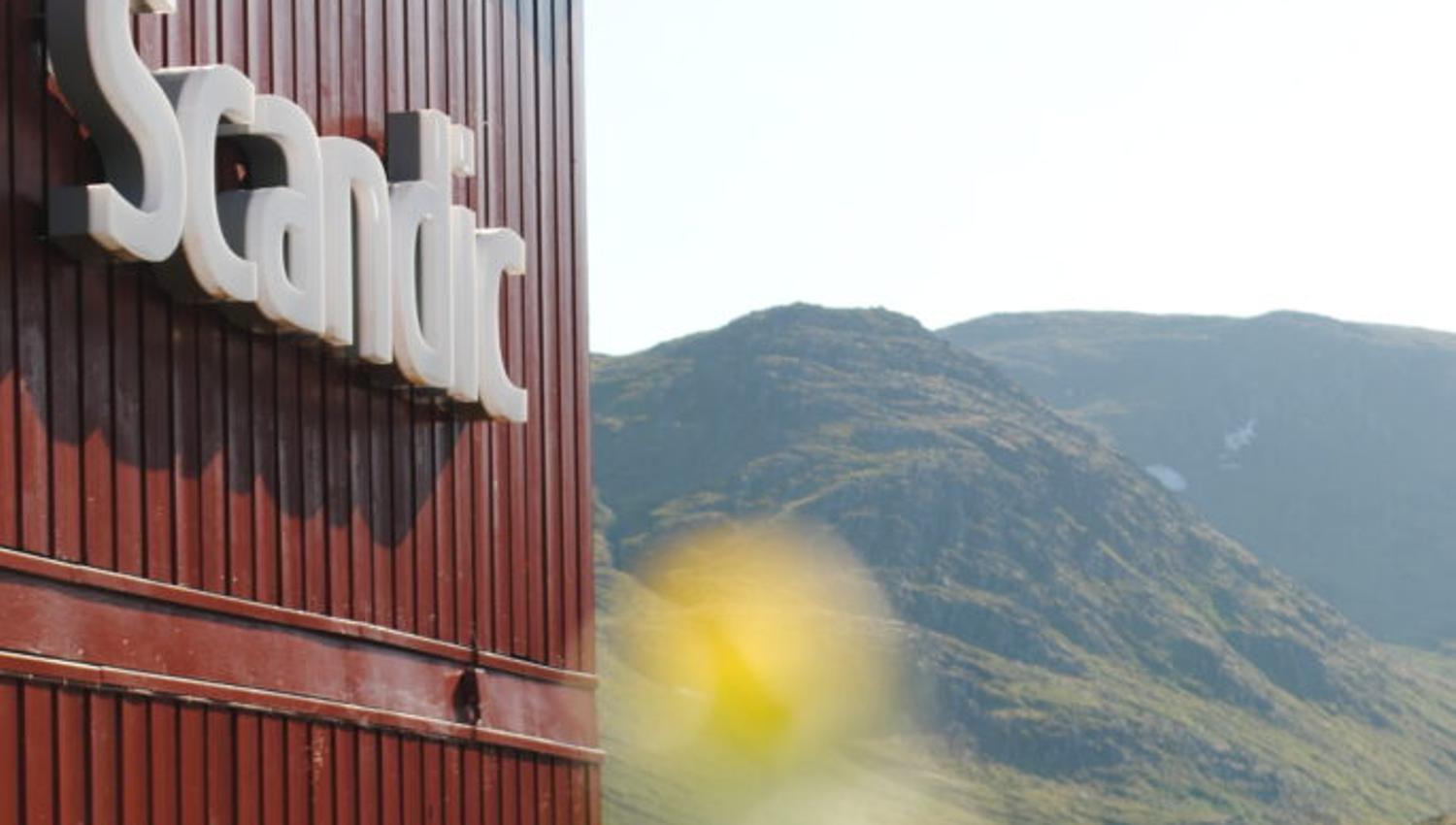 Insegna del Scandic hotel davanti a sfondo montano e fiori gialli.