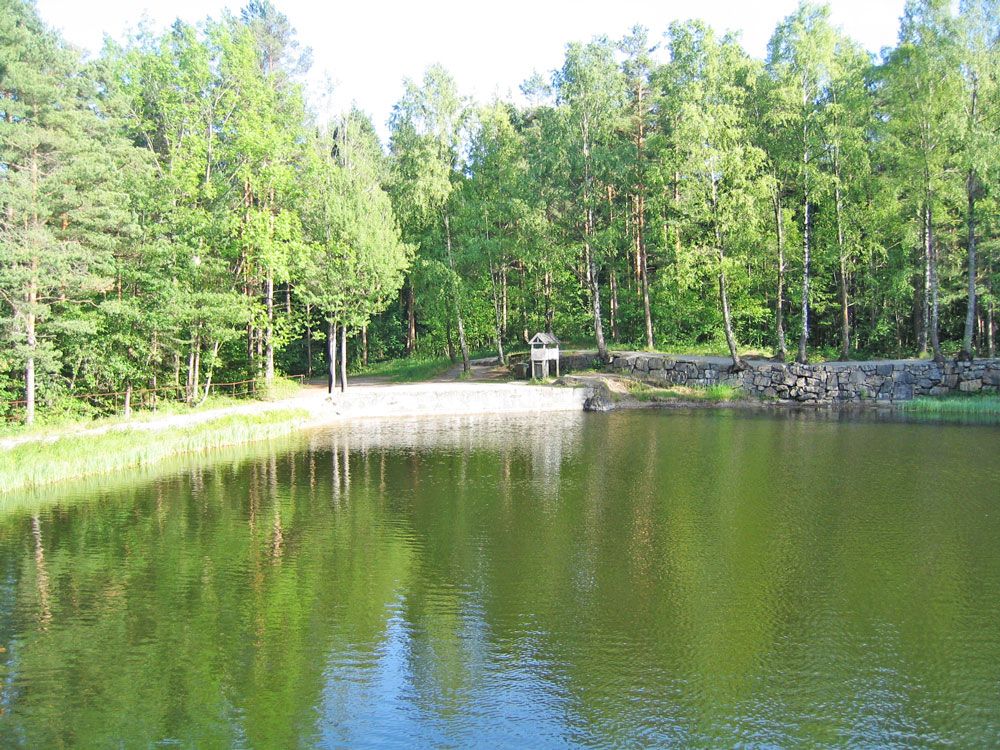 En av dammmane i Brevik