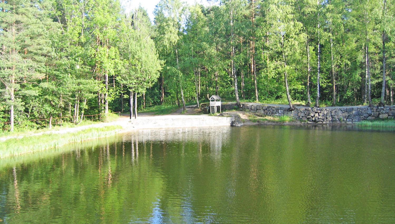 En av dammmane i Brevik