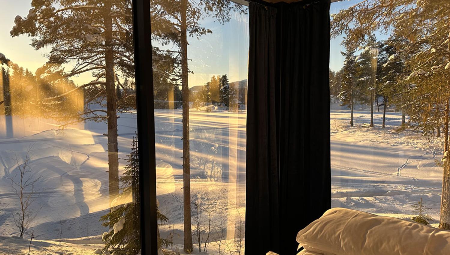 view from the cabin at Spegle's