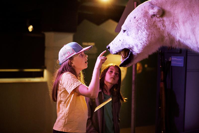 Two children explore a mounted polar bear head in a museum, pointing at it with fascination.