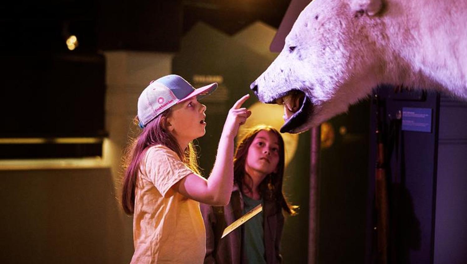 Two children explore a mounted polar bear head in a museum, pointing at it with fascination.