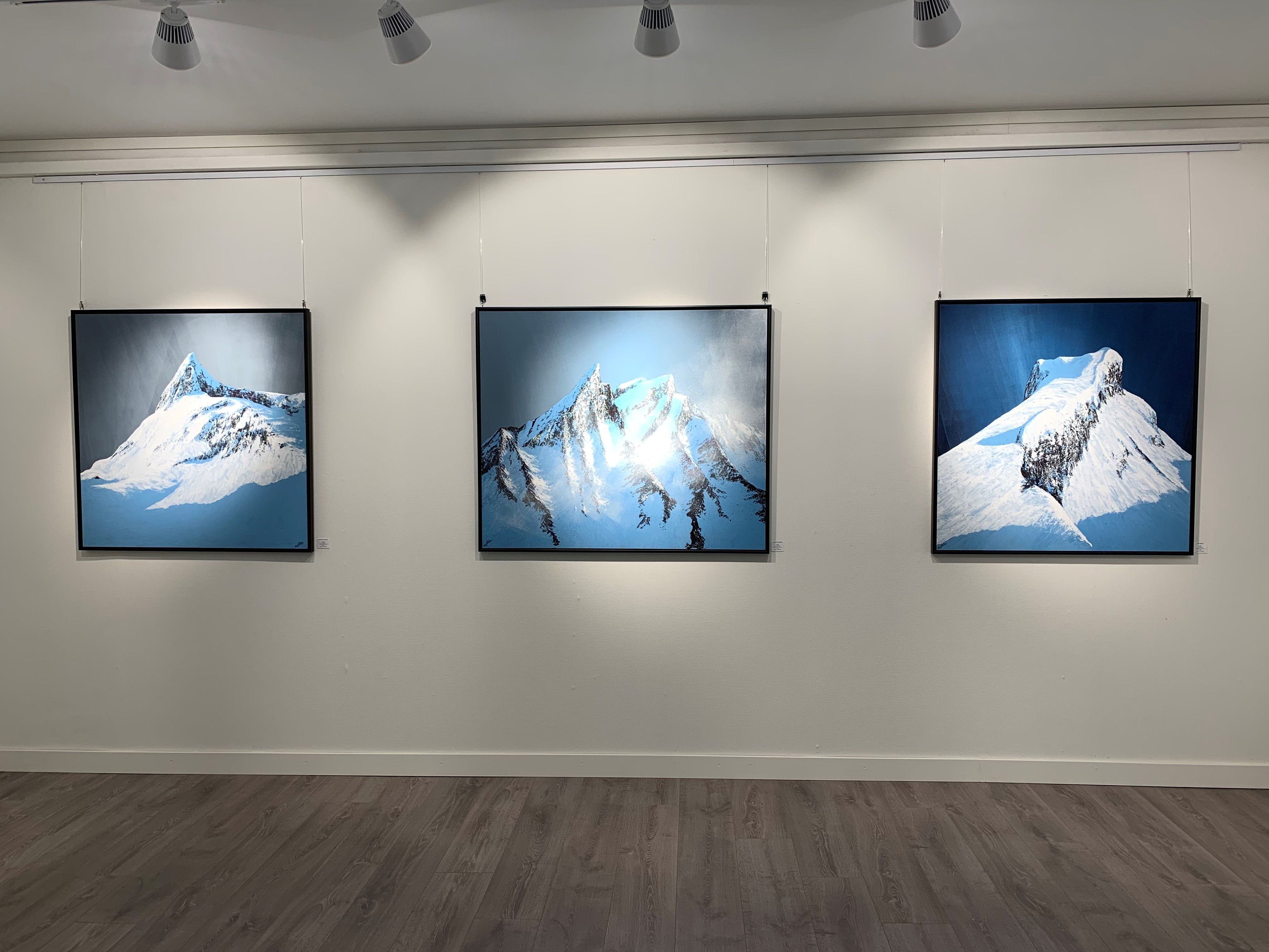 Bilder på utstilling i Galleri ER