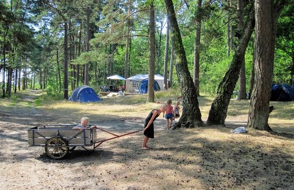 People at the campsite