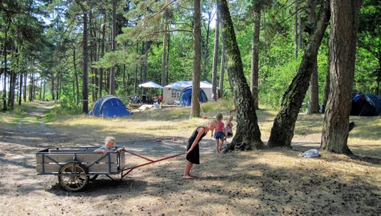 People at the campsite