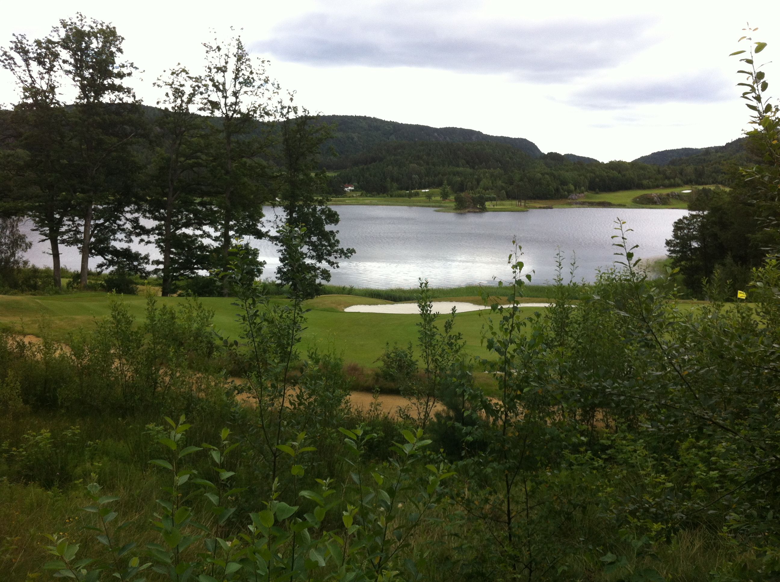 A landscape with grass, a pond in the middle, and a forest in the background