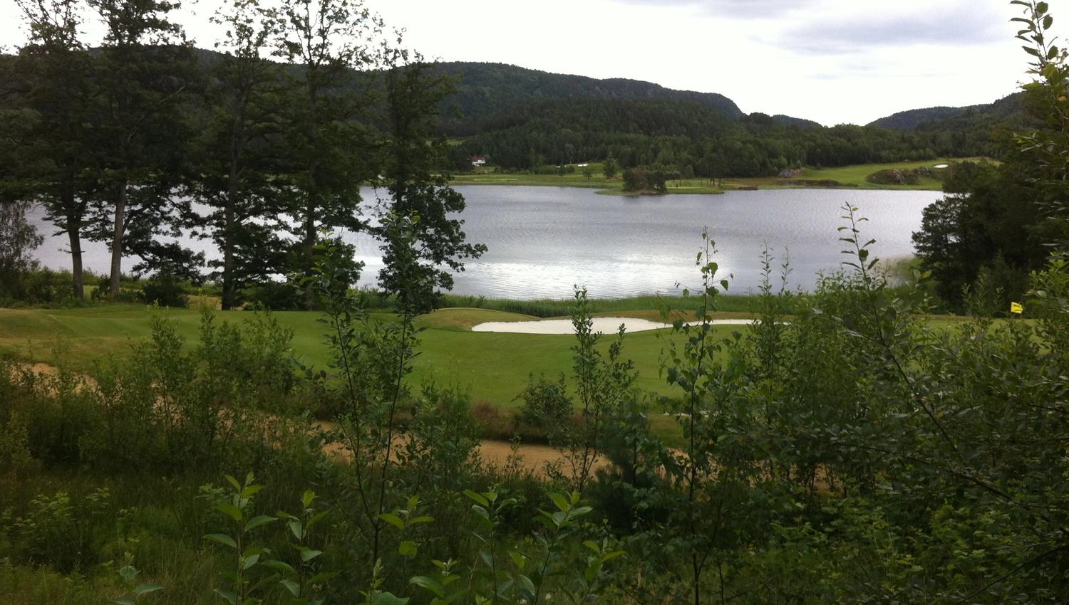 A landscape with grass, a pond in the middle, and a forest in the background