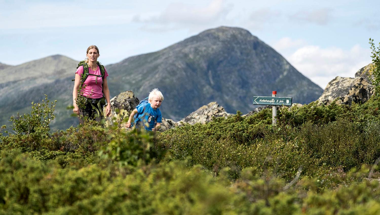 Young female out hiking with small boy on a mountain trai. In the foreground small juniper bushes, mountain in the background