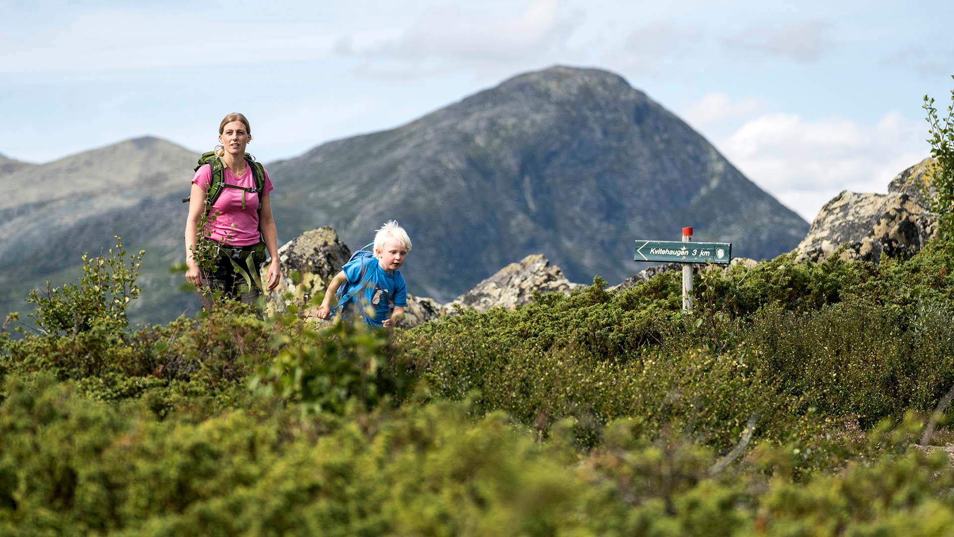Young female out hiking with small boy on a mountain trai. In the foreground small juniper bushes, mountain in the background